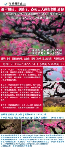連平桃花、油菜花、古村三天攝影團